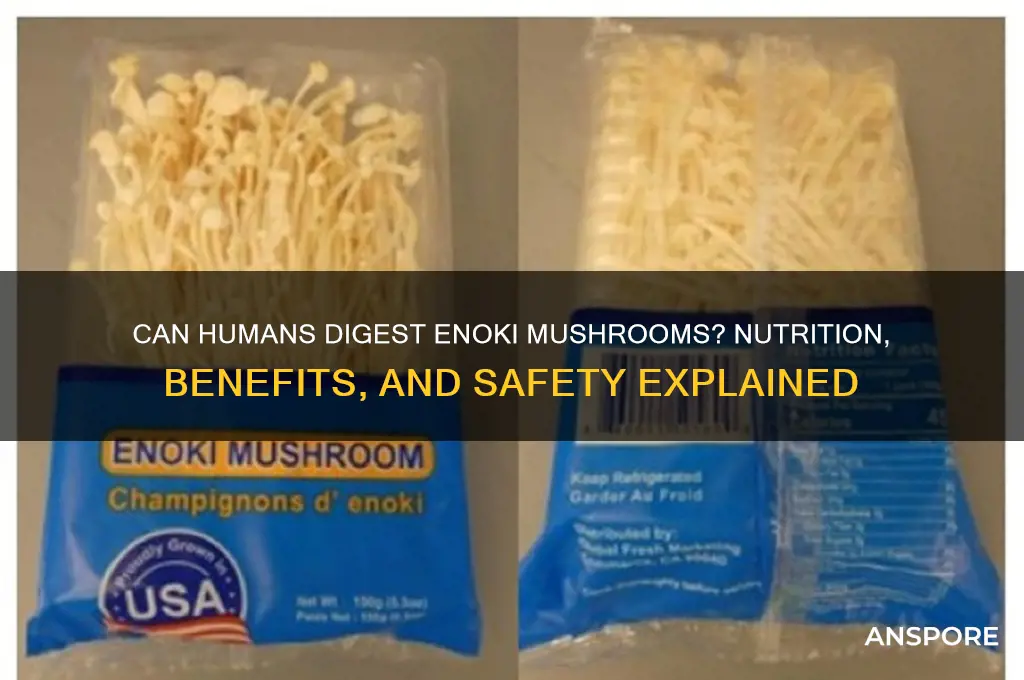 can humans digest enoki mushrooms