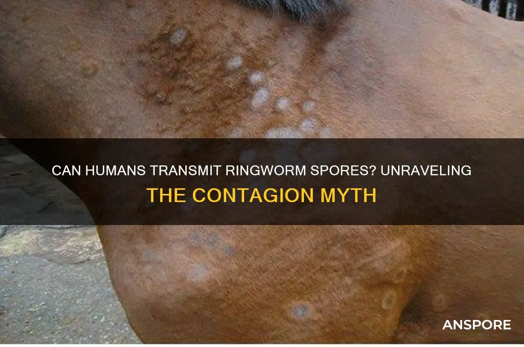 can humans give off ringworm spores