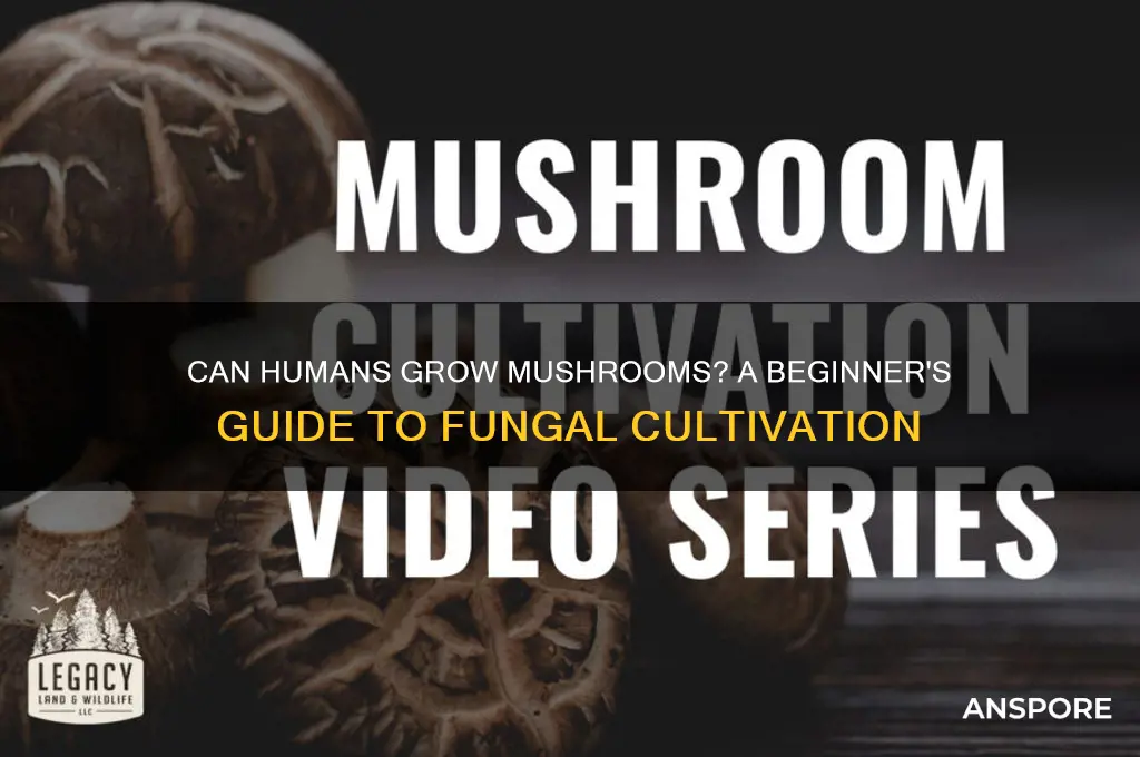 can humans grow mushrooms