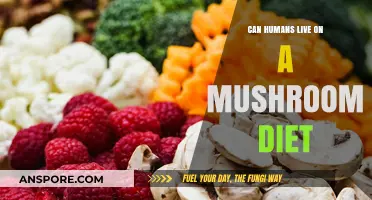 Can Mushrooms Sustain Humans? Exploring a Fungal-Based Diet