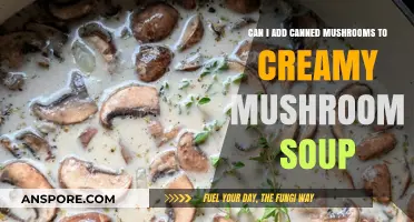 Enhancing Creamy Mushroom Soup: Adding Canned Mushrooms for Extra Flavor