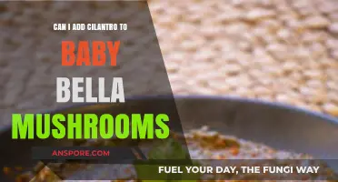 Cilantro and Baby Bella Mushrooms: A Flavorful Culinary Pairing?