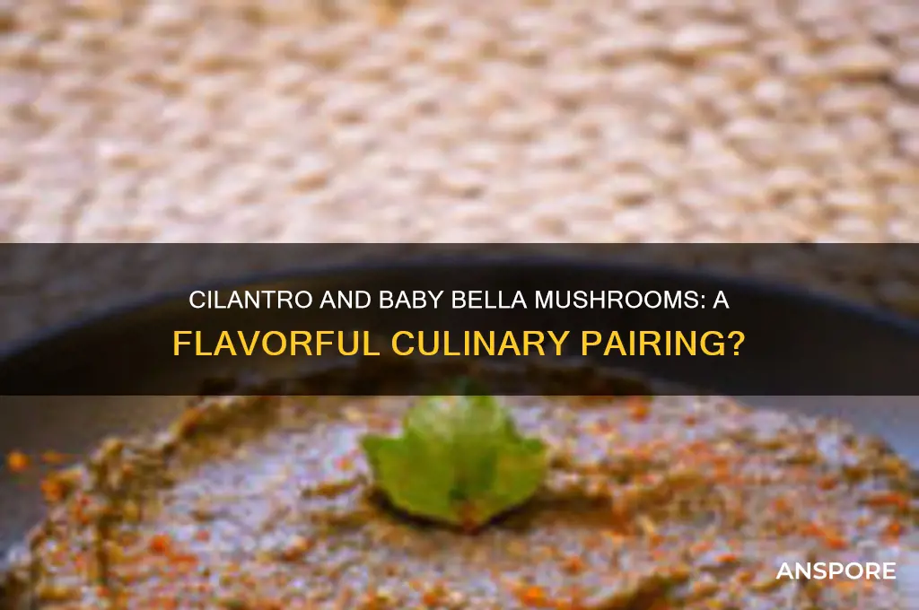 can i add cilantro to baby bella mushrooms