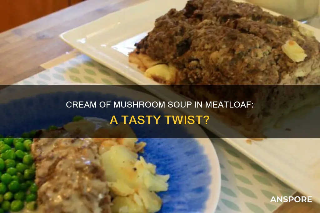 can i add cream of mushroom soup to meatloaf mixture