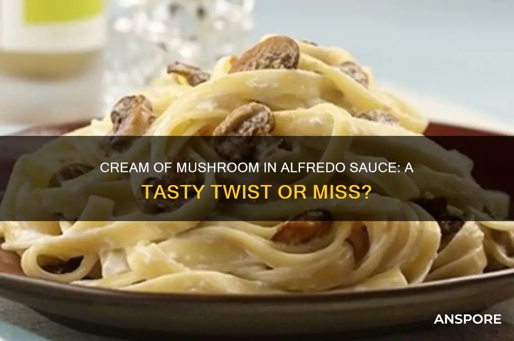 can i add cream of mushroom to alfredo sauce