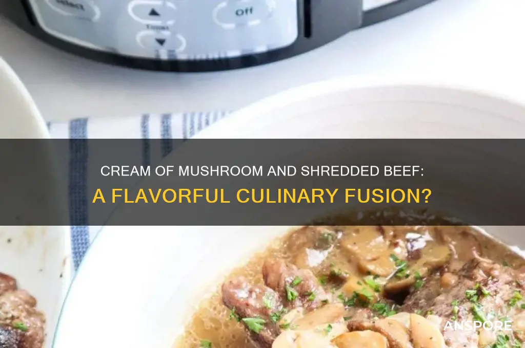 can i add cream of mushroom to shredded beef