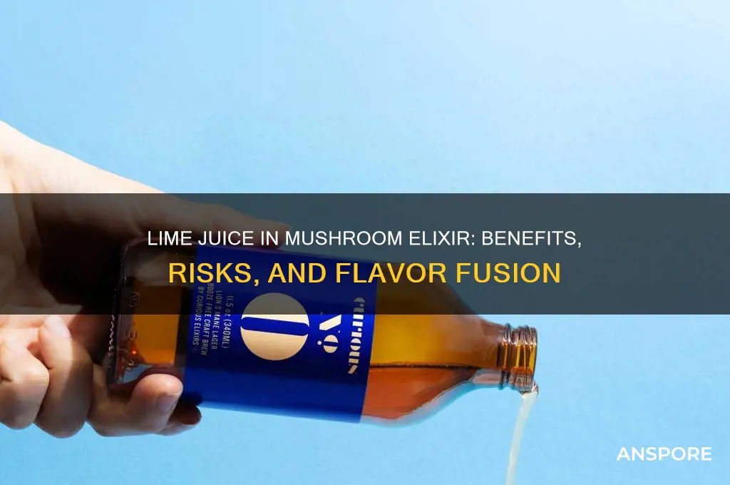 can i add lime juice to my mushroom elixir