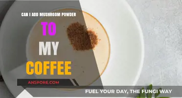 Boost Your Brew: Mushroom Powder in Coffee Benefits Explained