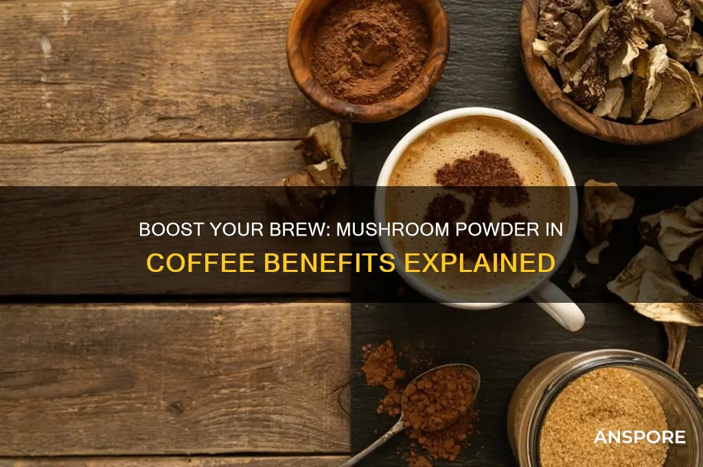 can i add mushroom powder to my coffee
