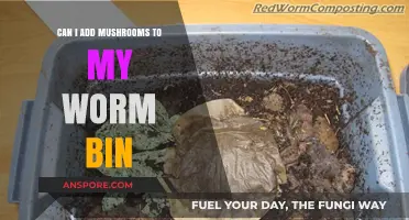 Mushrooms in Worm Bins: Benefits, Risks, and How-To Guide