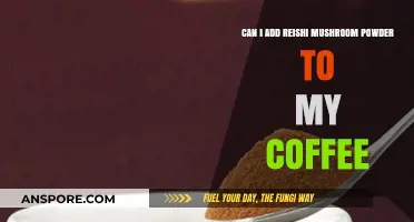 Boost Your Coffee: Reishi Mushroom Powder Benefits and How-To