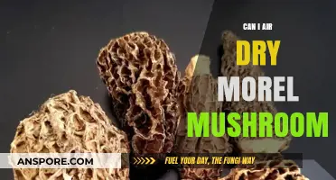 Air Drying Morel Mushrooms: Tips for Preserving Their Unique Flavor