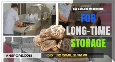 Air-Drying Mushrooms: A Long-Term Storage Solution for Freshness