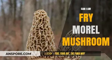 Air Fry Morel Mushrooms: Tips for Crispy, Flavorful Results