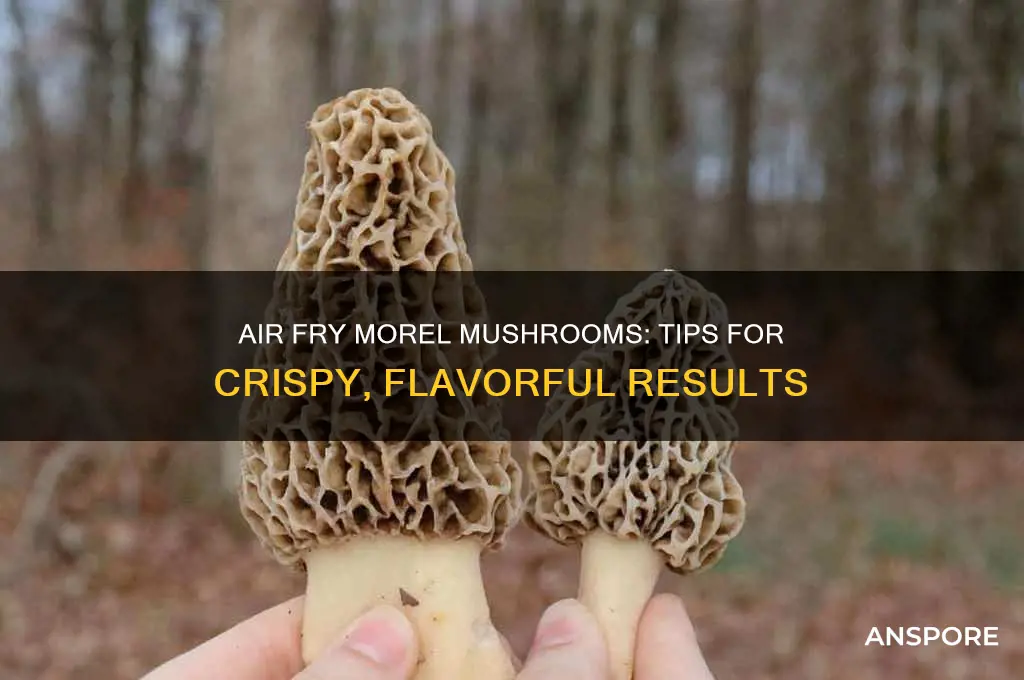 can i air fry morel mushrooms