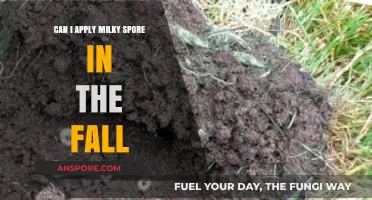 Fall Application of Milky Spore: Timing and Effectiveness for Grub Control