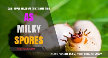 Milorganite and Milky Spores: Can You Apply Them Together?