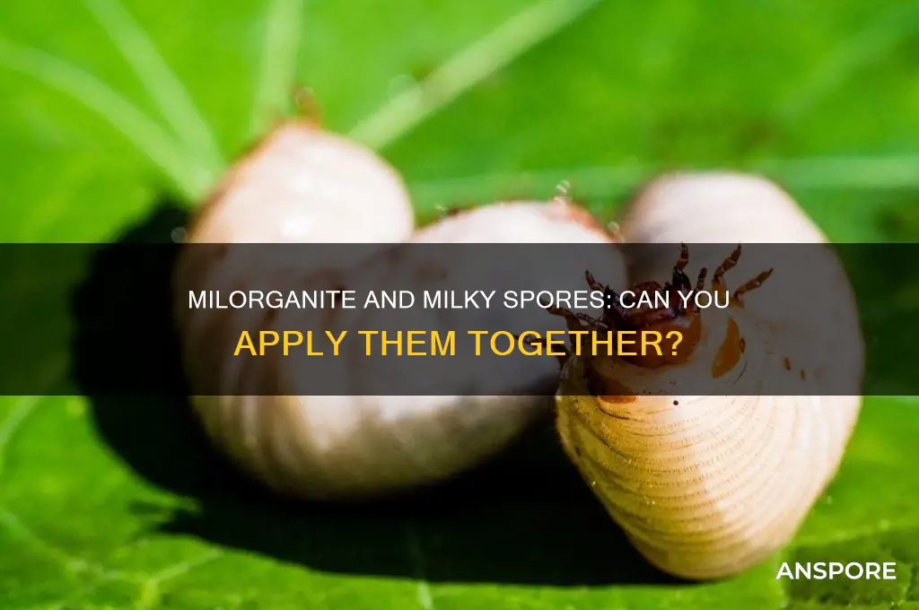 can i apply milorganite at same time as milky spores