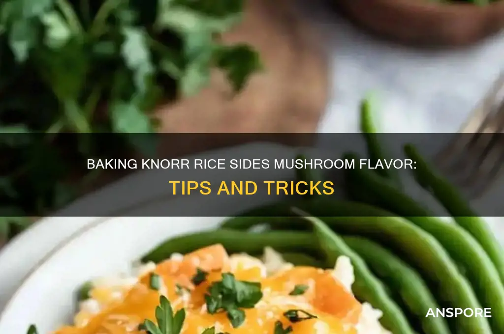 can i bake knorr rice sides mushroom flavor