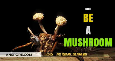 Exploring the Fascinating World of Mushrooms: Can Humans Truly Become One?