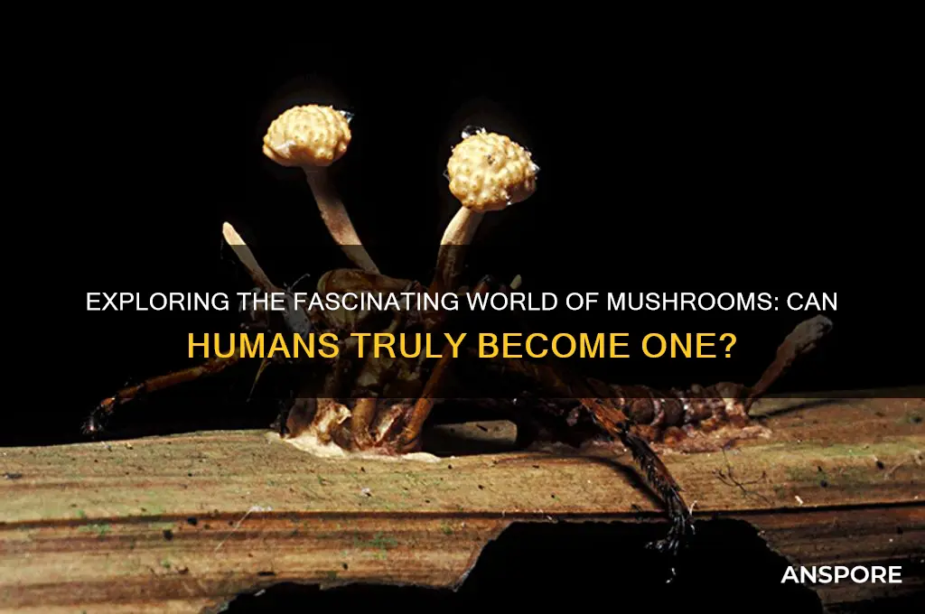 can i be a mushroom