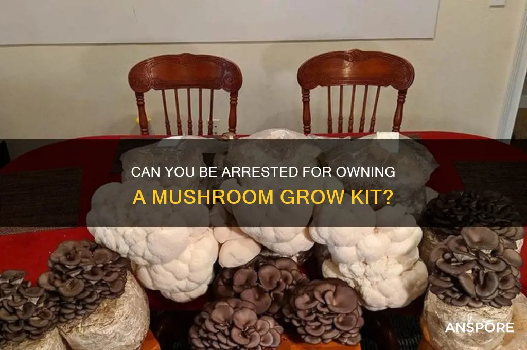 can i be arrested for a mushroom kit