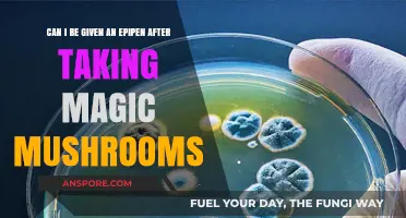 Magic Mushrooms and Epipens: Understanding Potential Risks and Interactions