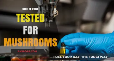 Can Urine Tests Detect Mushroom Use? Facts and Insights