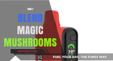 Blending Magic Mushrooms: Safe Methods, Effects, and Legal Considerations