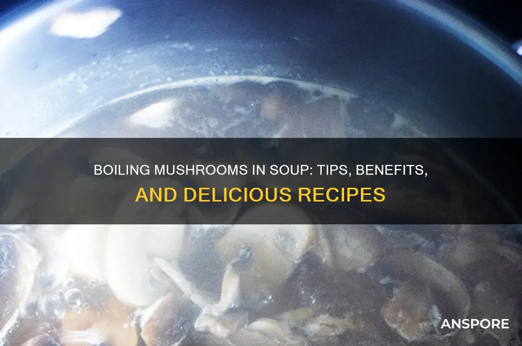 can i boil mushrooms in soup
