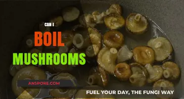 Boiling Mushrooms: A Simple Cooking Method for Delicious Results
