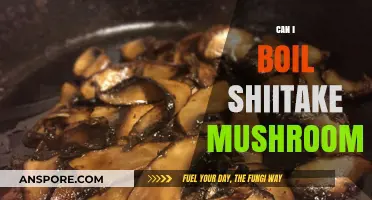 Boiling Shiitake Mushrooms: Tips, Benefits, and Delicious Recipe Ideas
