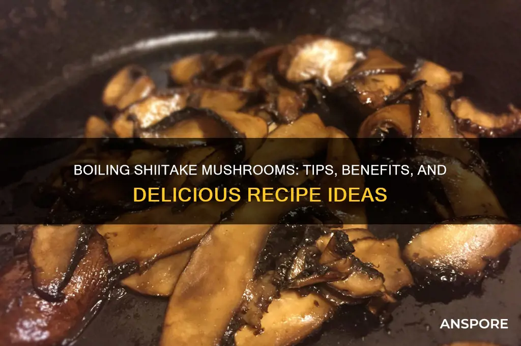 can i boil shiitake mushrooms