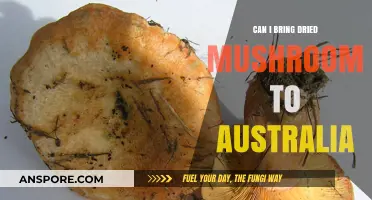 Bringing Dried Mushrooms to Australia: Legal Guidelines and Travel Tips