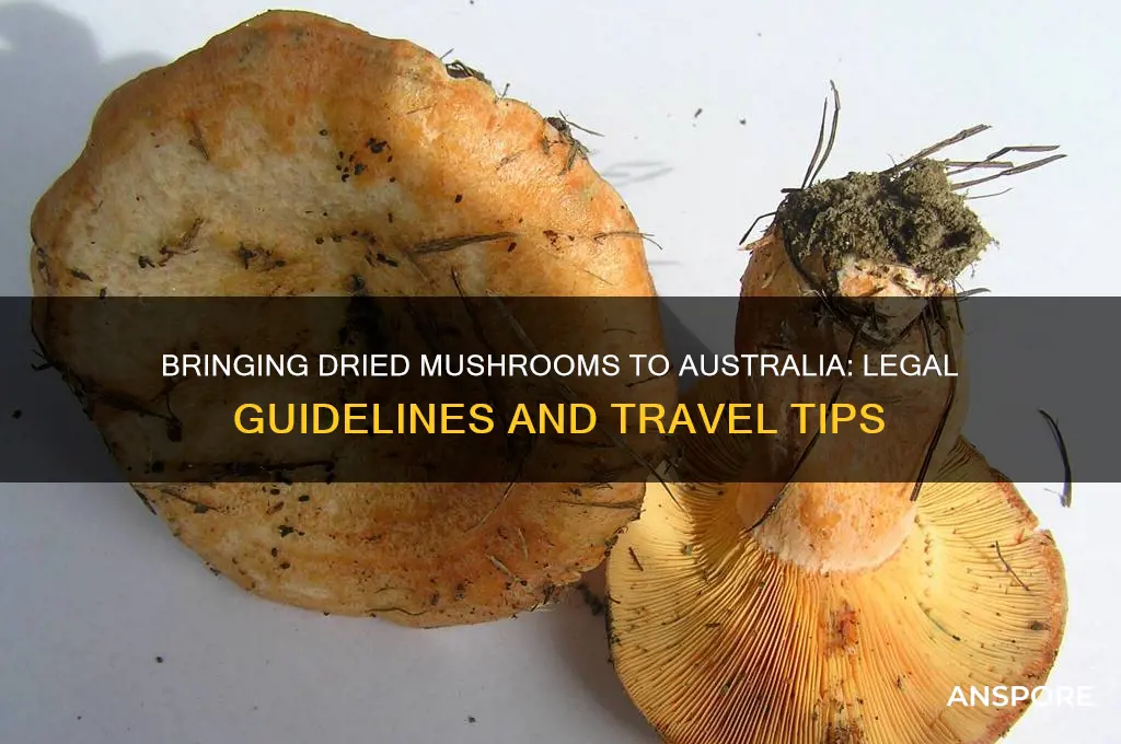 can i bring dried mushroom to australia