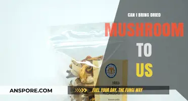 Bringing Dried Mushrooms to the US: Legalities and Customs Guidelines