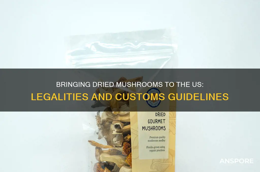 can i bring dried mushroom to us