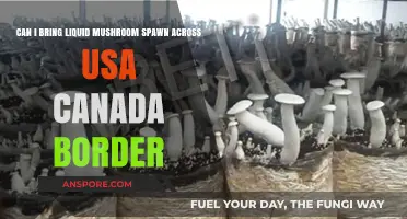 Crossing Borders with Liquid Mushroom Spawn: USA-Canada Regulations Explained