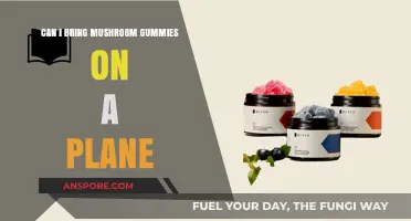 Flying with Mushroom Gummies: TSA Rules and Travel Tips