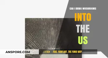 Traveling with Mushrooms: US Import Rules and Regulations Explained