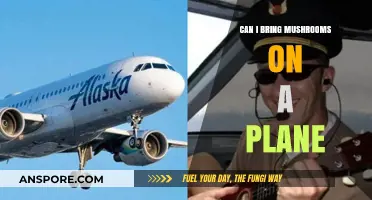Flying with Fungi: Can You Bring Mushrooms on a Plane?