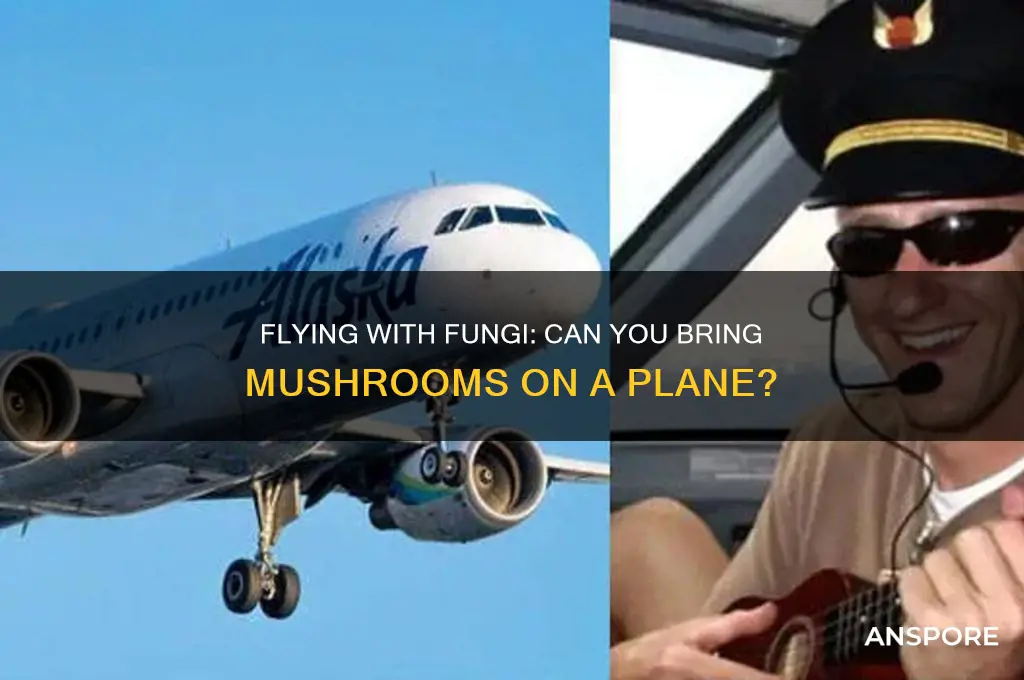can i bring mushrooms on a plane