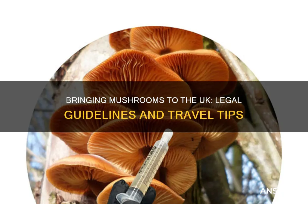 can i bring mushrooms to uk