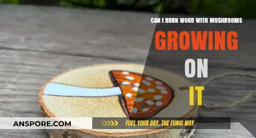 Burning Wood with Mushrooms: Safe or Risky Practice?