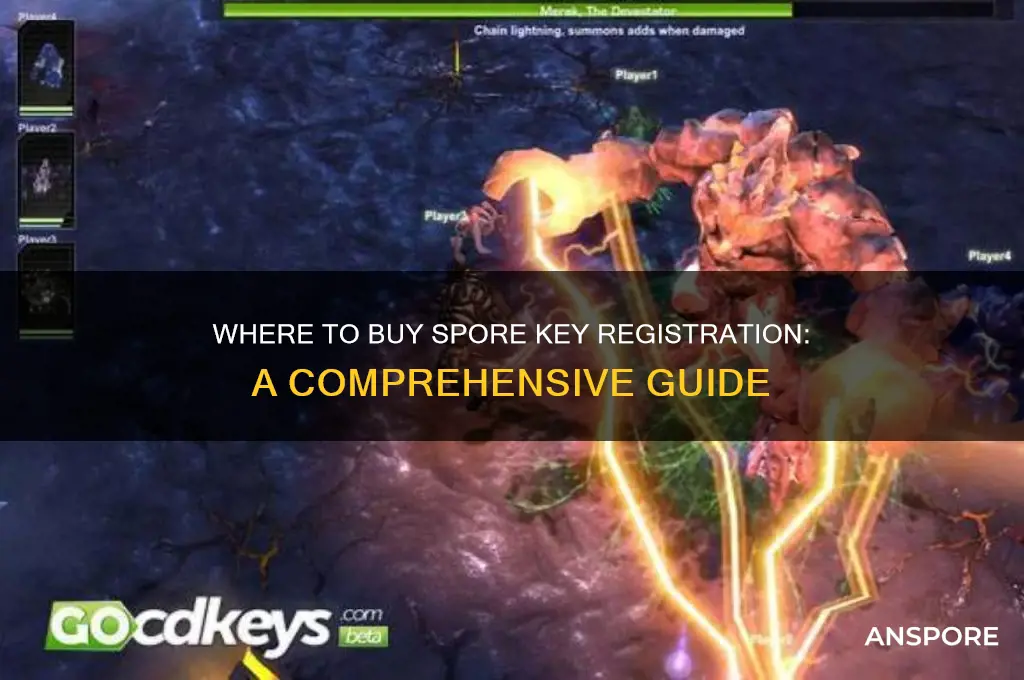 can i buy a key registration for spore
