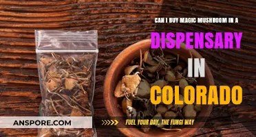 Buying Magic Mushrooms in Colorado Dispensaries: Legal or Not?