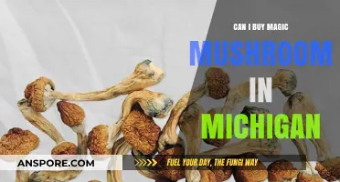 Buying Magic Mushrooms in Michigan: Legal Status and Availability Explained
