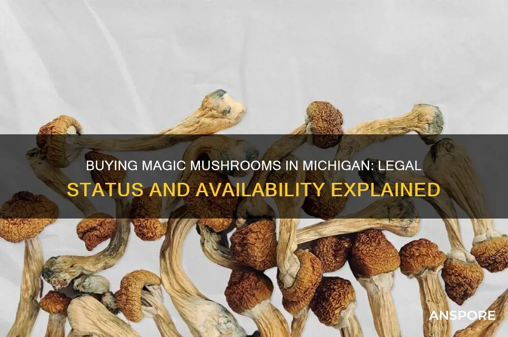 can i buy magic mushrooms in michigan