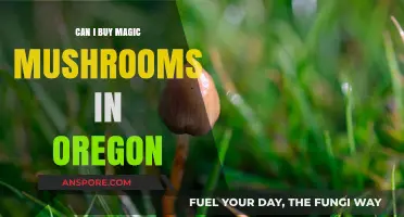 Oregon's Magic Mushroom Laws: Where and How to Buy Legally