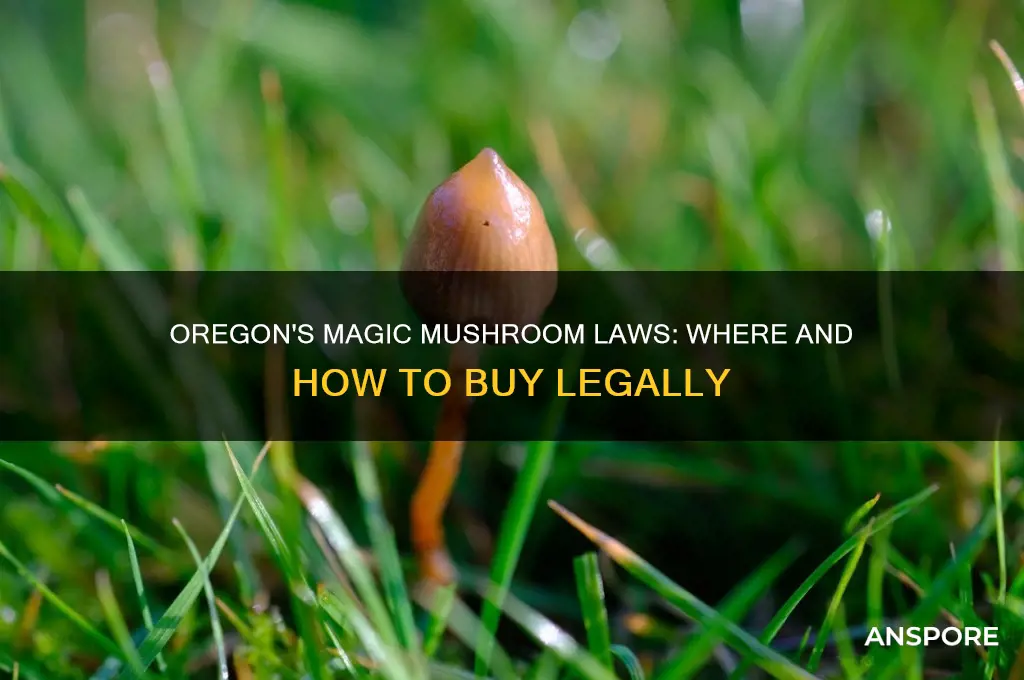 can i buy magic mushrooms in oregon